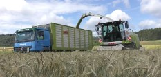 YouTube Video Triticale Häckseln YouTube Video Triticale Häckseln